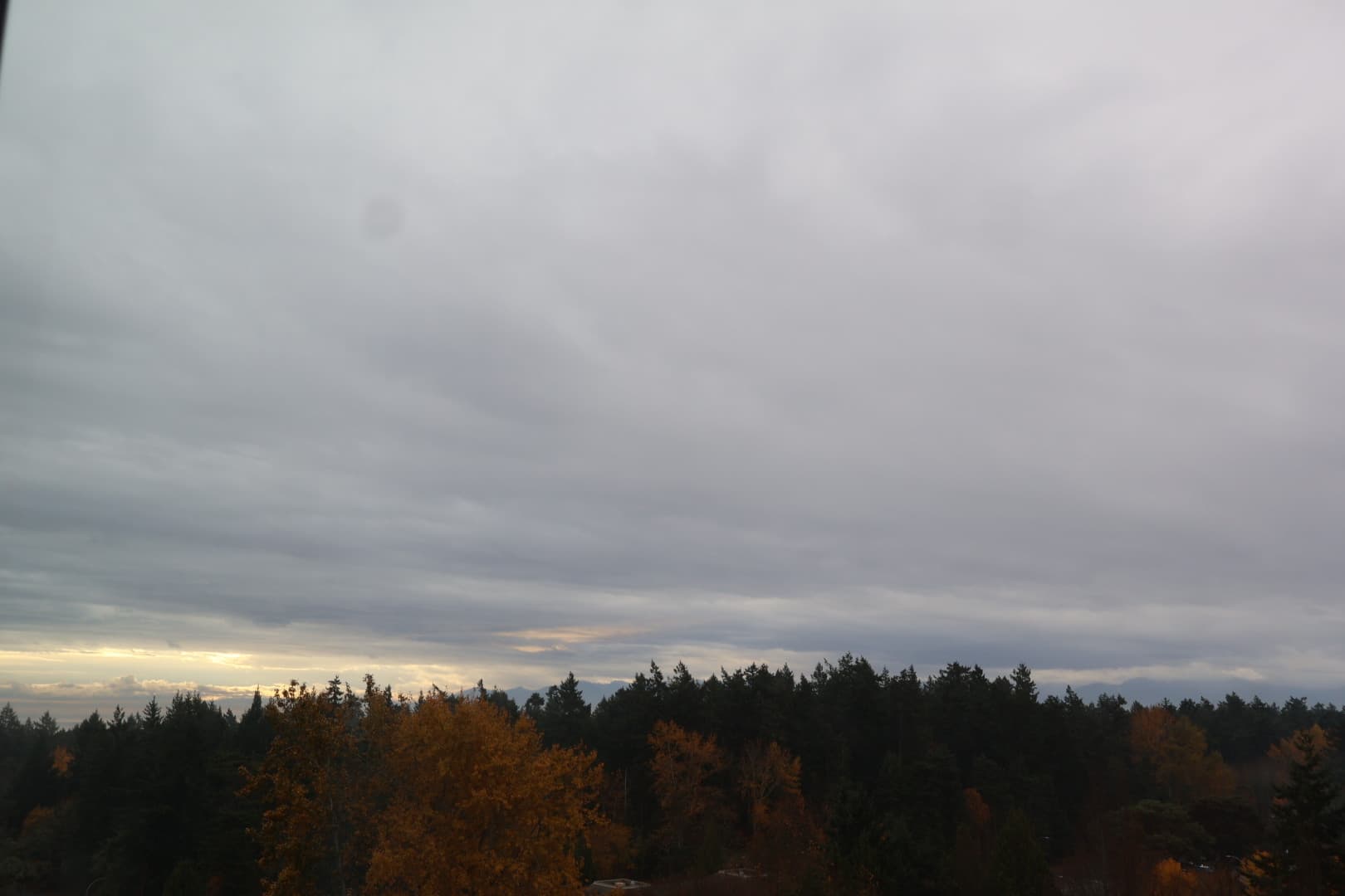Rain droplets on window with blurred autumn trees behind